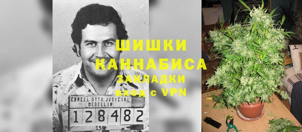 мдпв Пролетарск